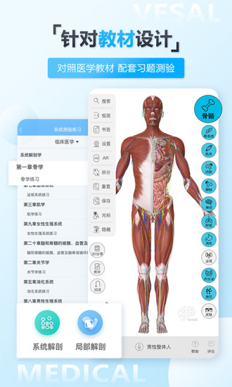 维萨里3d解剖学破解版