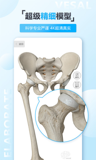 维萨里3d解剖学破解版
