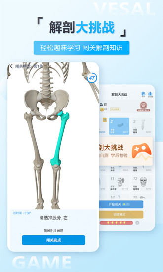 维萨里3d解剖学破解版