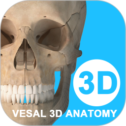 维萨里3d解剖学破解版