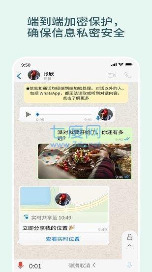 最新版whatsapp