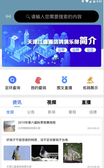 信鸽纵横