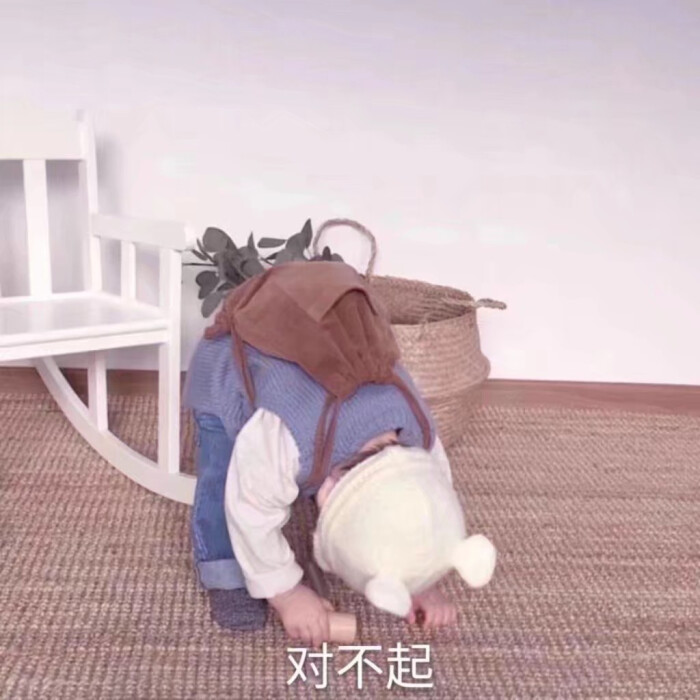 对不起我错了表情包