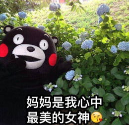 母亲节表情包
