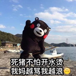 母亲节表情包