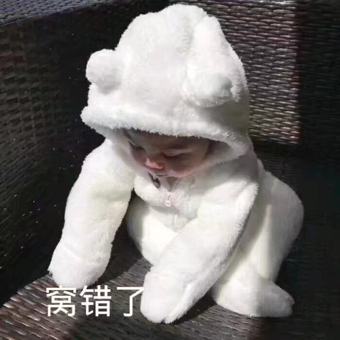 对不起我错了表情包