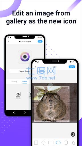 x icon changer 