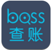 BOSS查账