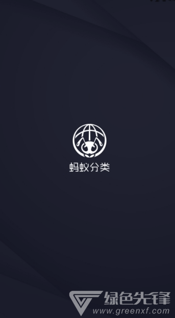 蚂蚁分类