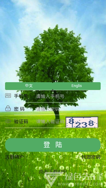 草根一族