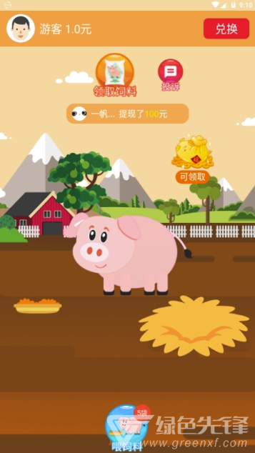 趣味金猪