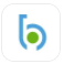 BiHODL