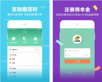 小油菜理财