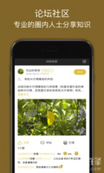 金期汇