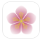花花世界
