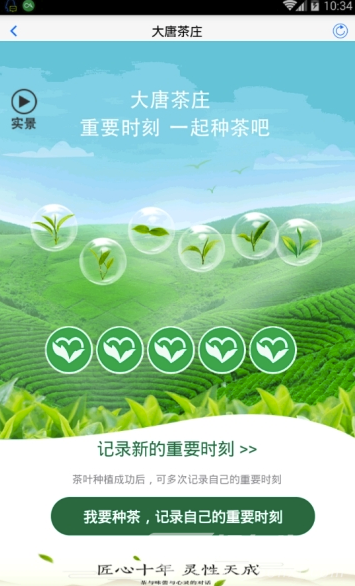 大唐茶庄