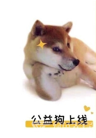 公益狗app