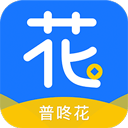 普咚花app