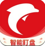 海豚股票