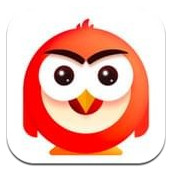 雏鹰APP