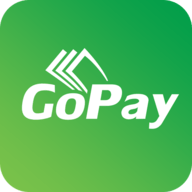 GOPAY数字货币
