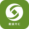 戴盛外汇下载