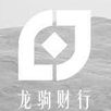 龙驹财行官网