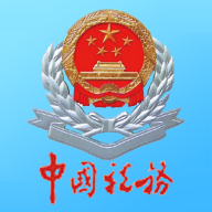 四川省电子税务局app个人所得税
