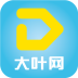 大叶支付下载