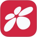 西部信天游下载