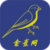 金雀网