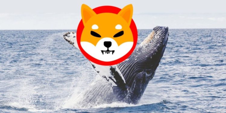 瑞波币巨鲸买入20兆枚SHIB！柴犬币拟推出稳定币、奖励代币