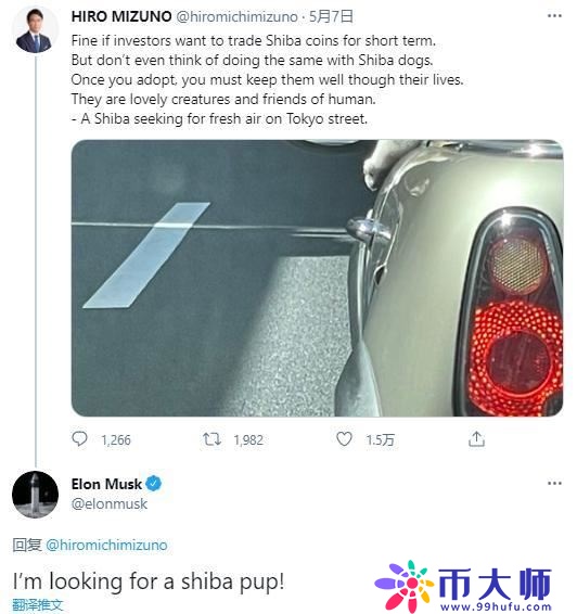 柴犬币SHIB是什么? 柴犬币SHIB详细介绍