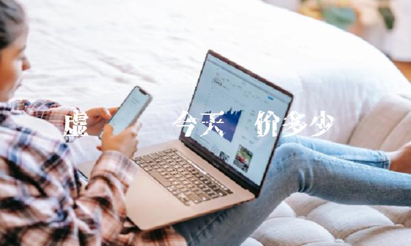 虚拟货币今天对价多少 虚拟货币今天对价多少