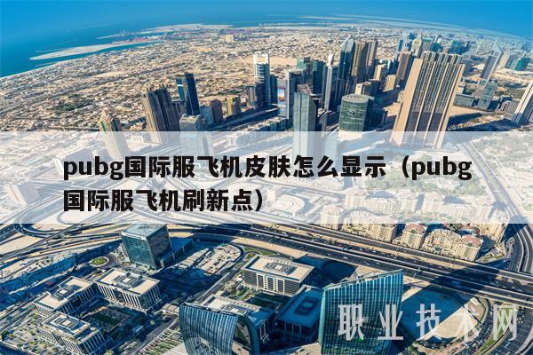 pubg国际服飞机皮肤怎么显示（pubg国际服飞机刷新点）-第1张图片-芝麻开门下载