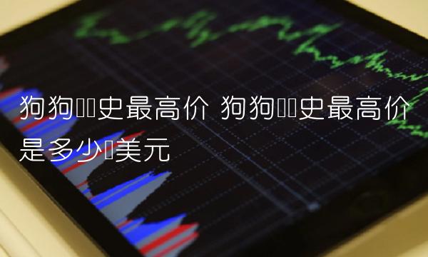 狗狗币历史最高价是多少钱美元-第1张图片-芝麻开门下载
