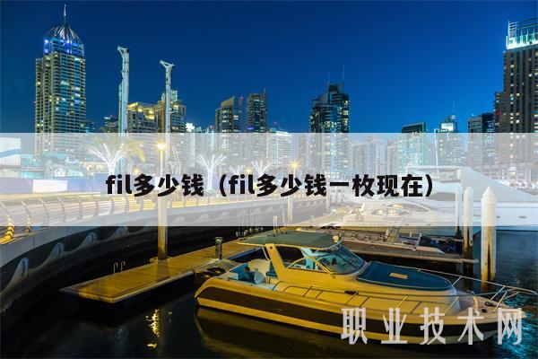 fil多少钱（fil多少钱一枚现在）-第1张图片-芝麻开门下载
