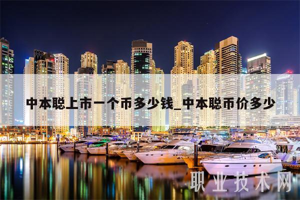 中本聪上市一个币多少钱_中本聪币价多少-第1张图片-芝麻开门下载
