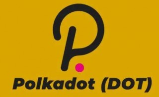 dot币交易中心手机版下载 dot币交