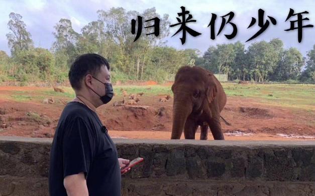 大象传媒软件下载（大象传媒软件下载苹果版）-第3张图片-芝麻开门下载