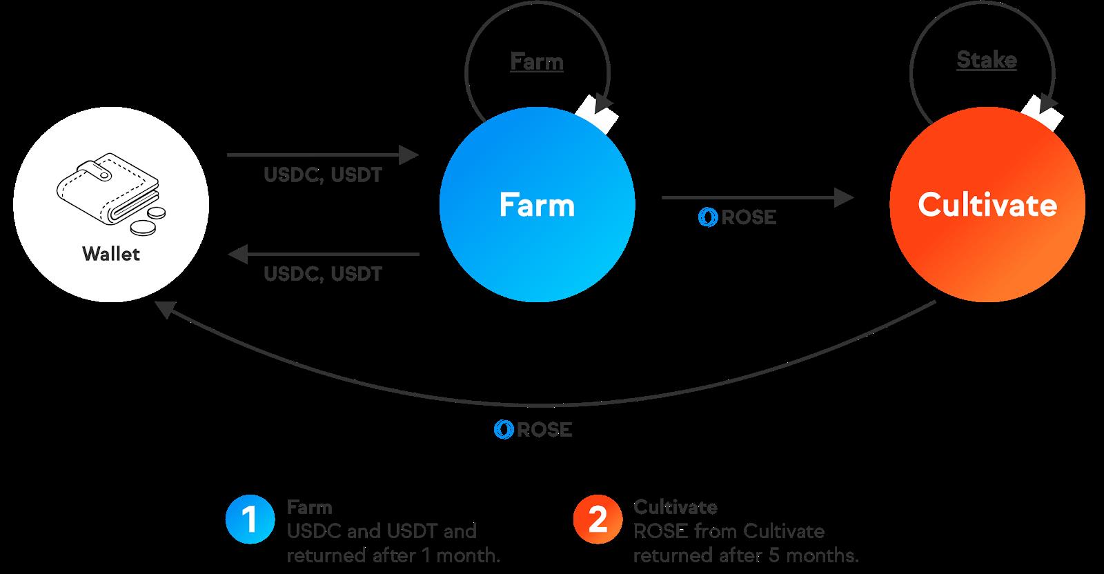 参与隐私计算平台 Oasis Network 撸币活动全攻略
