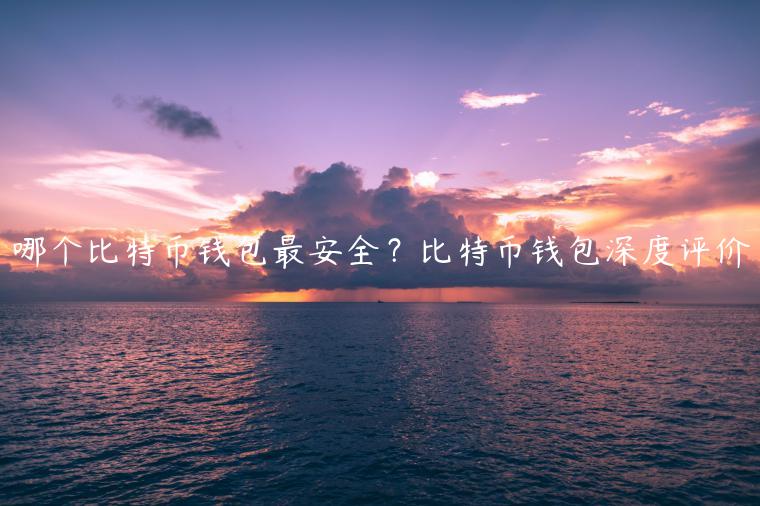 哪个比特币钱包最安全？比特币钱包深度评价-第1张图片-芝麻开门下载