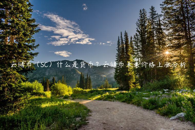 云储币（SC）什么是货币？云储币未来价格上涨分析-第1张图片-芝麻开门下载