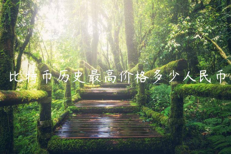 比特币历史最高价格多少人民币-第1张图片-芝麻开门下载