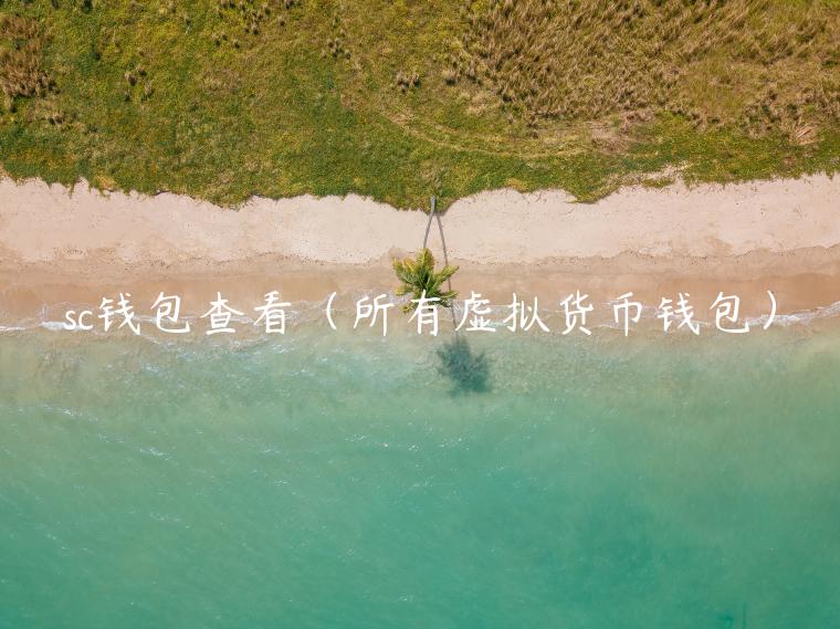 sc钱包查看（所有虚拟货币钱包）-第1张图片-芝麻开门下载