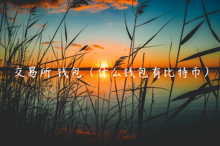 交易平台app 钱包（什么钱包有比特币）-第1张图片-芝麻开门下载