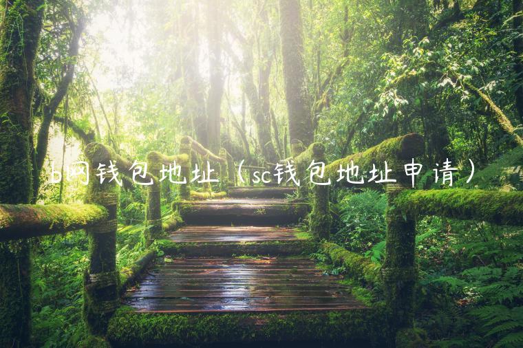 b网钱包地址（sc钱包地址申请）-第1张图片-芝麻开门下载