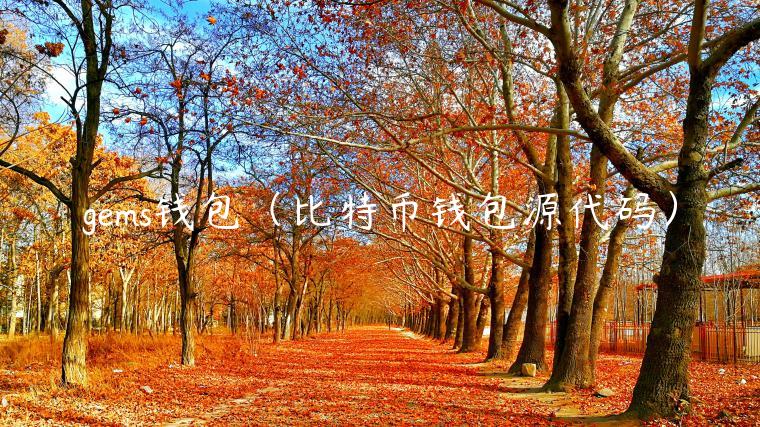 gms钱包（比特币钱包源代码）-第1张图片-芝麻开门下载