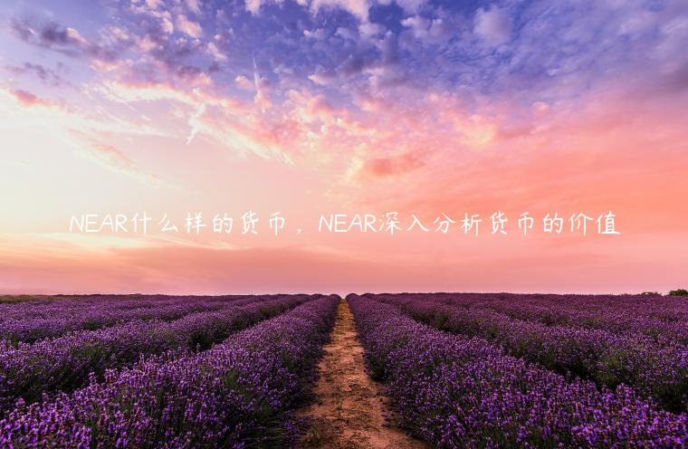 NAR什么样的货币，NAR深入分析货币的价值-第1张图片-芝麻开门下载