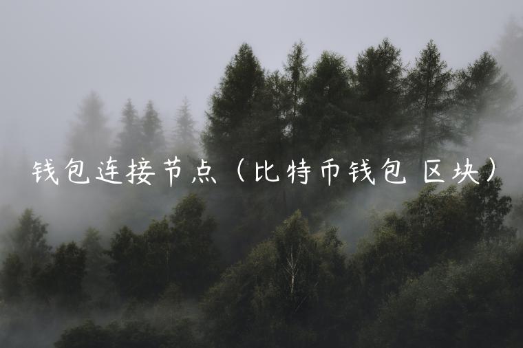 钱包连接节点（比特币钱包 区块）-第1张图片-芝麻开门下载